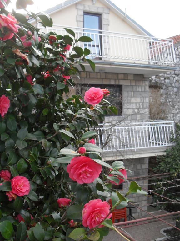 Apartments Penovic Котор Екстер'єр фото